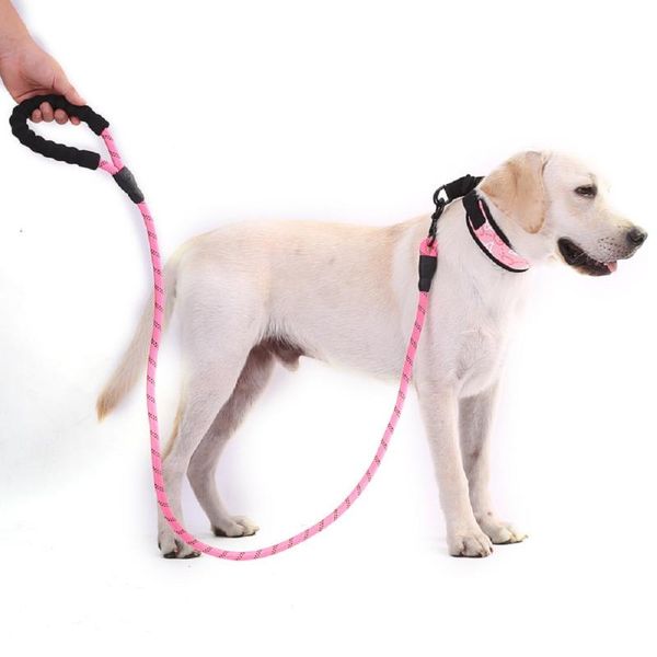 

dog collars & leashes nylon reflective pet noctilucent bling puppy walking leads training traction rope strap chain seat belt gift