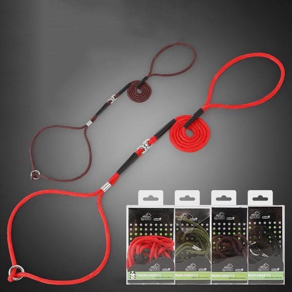 

dog collars & leashes small slip collar choke leash p-leash pet cat puppy training adjustable nylon for chihuahua yorkshire