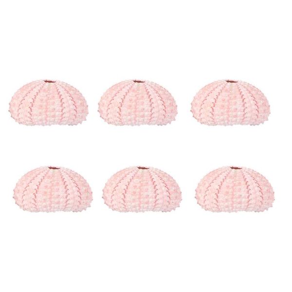 

planters & pots 6pcs sea urchin air plant pot creative conch flowerpots shell planter