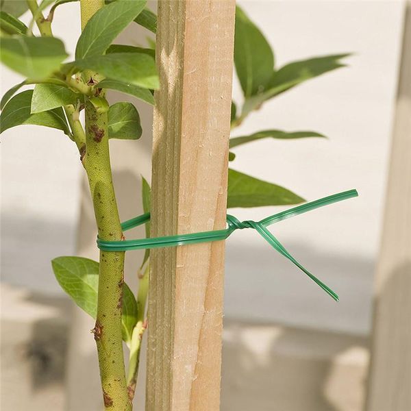 

fencing, trellis & gates home outdoor yard garden tie with protection bag binding line climbing plants flower cucumber grape rattan holder