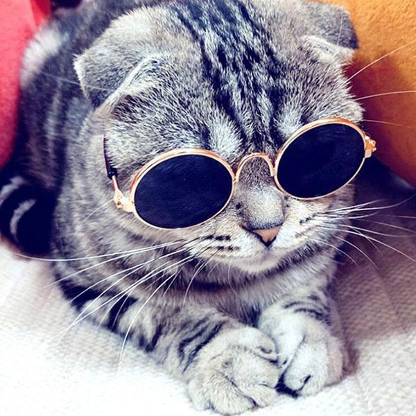 

cat costumes pet accessories goggles lovely round sunglasses eyewear glasses for small dog pos props