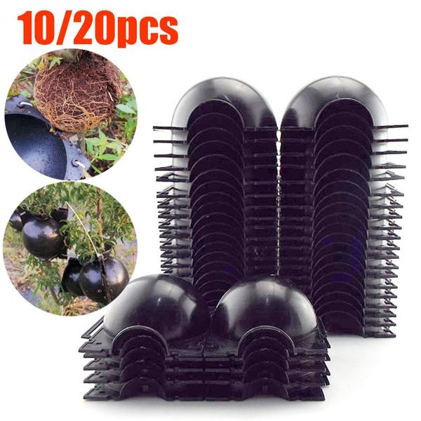 

planters & pots 10/20pcs plant rooting ball fruit tree root grow box plastic case propagation grafting rooter growing high-pressure