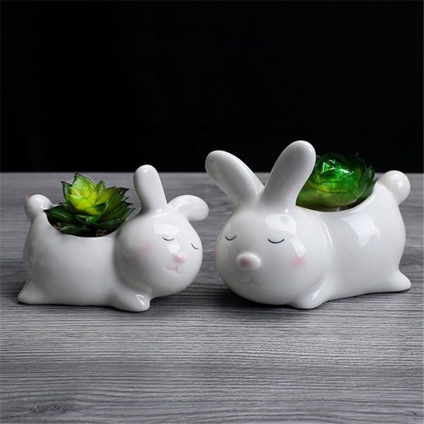 

planters & pots succulent plant pot with hole cute animal flower planter flowerpot lovely little home garden decor bonsai