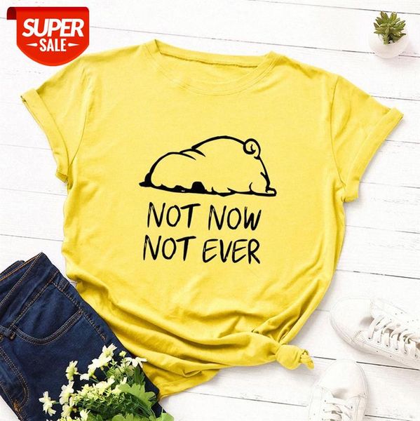 

women's loose round neck short-sleeved cotton t-shirt t222 #xt3x, White