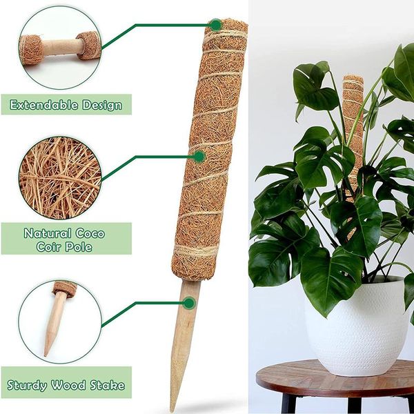 

other garden supplies reusable plant climbing stand durable flower plants support for balcony courtyard easy to use e7