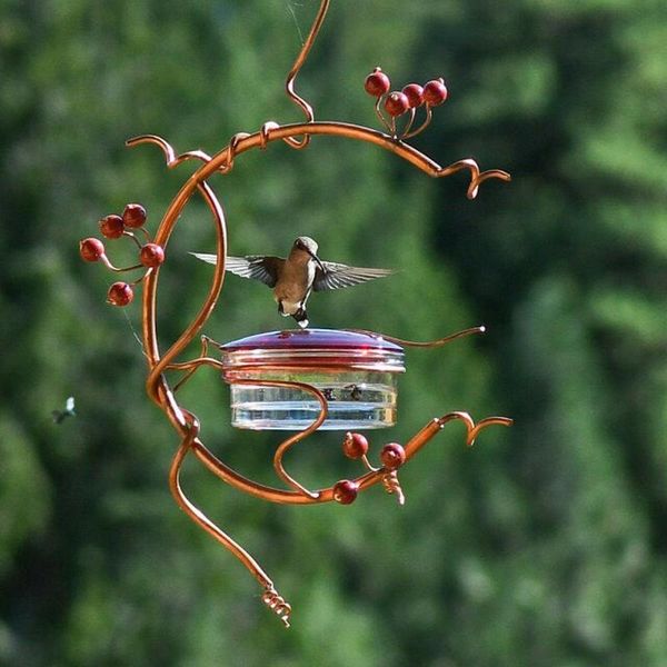 

other bird supplies courtyard feeder red berries hummingbird 2021
