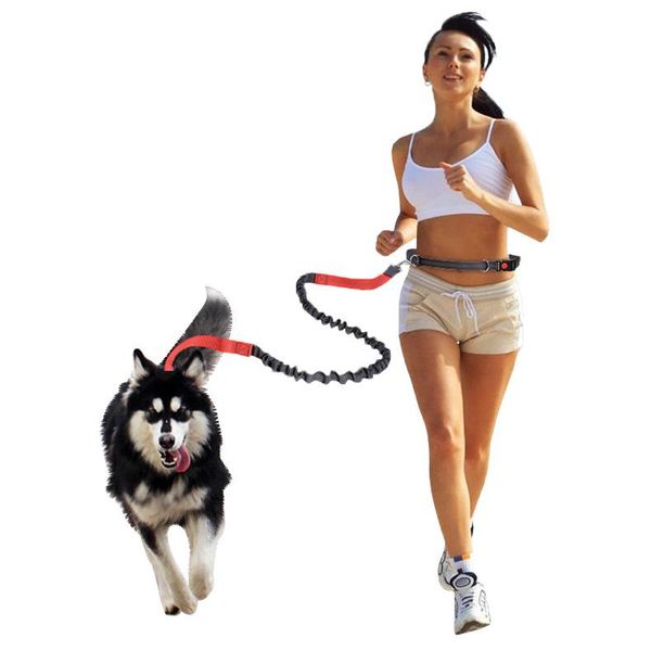 

dog collars & leashes outdoor reflective leash traction rope pet running belt elastic hands y jogging pull metal d-ring