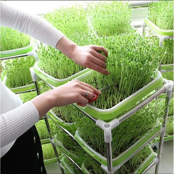 

germination sprouting tray nursery planting box plastic pots accessory planters &