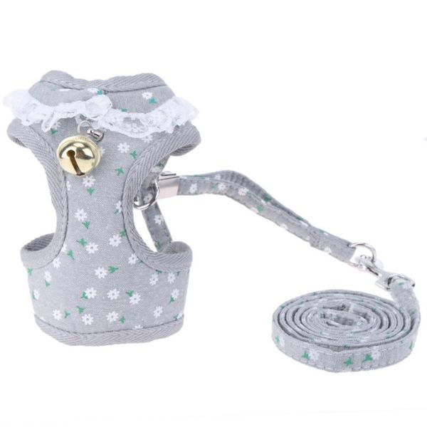 

pet dog outdoor harness lovely vest-style chest back walk strawberry leash set suit gray adjustable puppy supplies collars & leashes