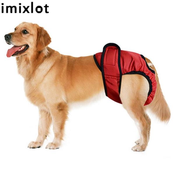 

dog apparel imixlot shorts physiological pants diaper sanitary washable pet menstruation panties for small girl dogs jumpsuit