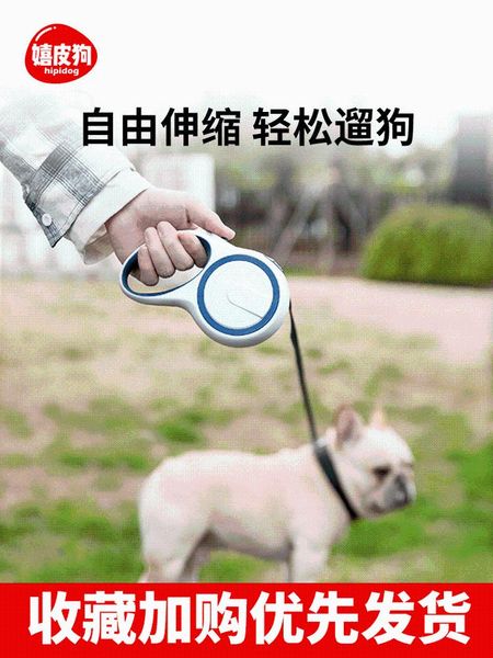 

dog collars & leashes hand holding rope automatic retractable leash chain collar small teddy pet supplies