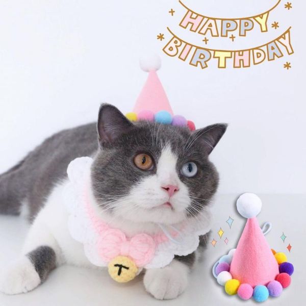

cat costumes cats cap adjustable buckle decorative pet dogs kitten hat puppy beanie good-looking