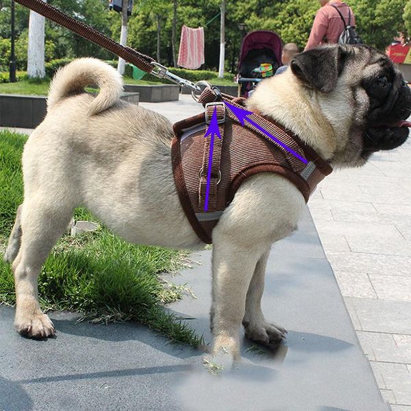 

dog collars & leashes personalized harness breathable adjustable pet for dogs winter autumn fping