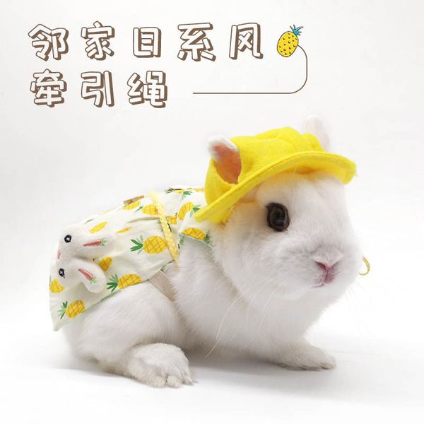 

pet rabbit cloth cat drop ear accsori travel po