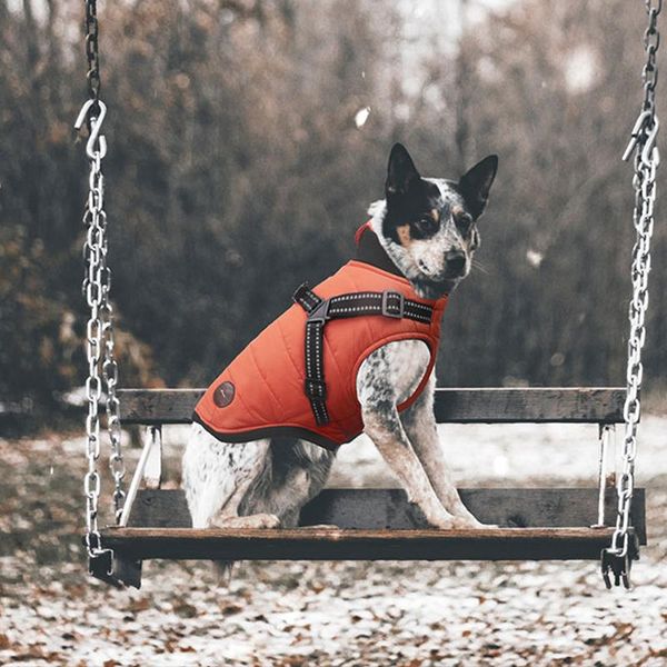 Abbigliamento per cani Abbigliamento invernale Calda giacca impermeabile con imbracatura Cappotto Cani di taglia piccola e media Barboncino Cuccioli di orsacchiotto Gilet imbottito per animali domestici