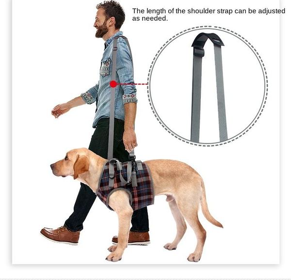 

dog collars & leashes pet leg straps to walk belt auxiliary