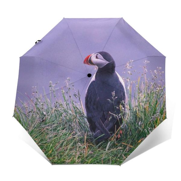 

umbrellas automatic umbrella puffin bird grass three-fold women men rain