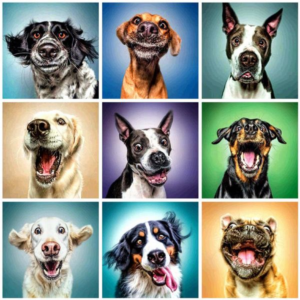 

diamond painting evershine 5d diy dog embroidery full square rhinestone animal cross stitch mosaic layout home decoration