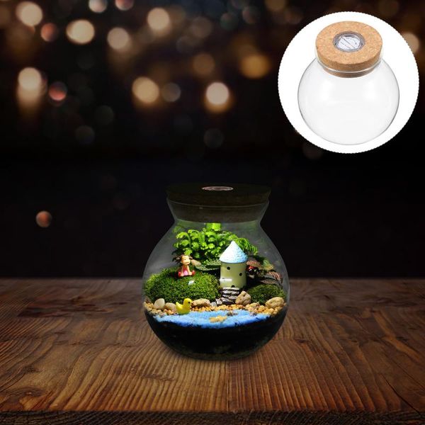 

vases fish tank diy micro landscape bottle plant terrarium holder glass