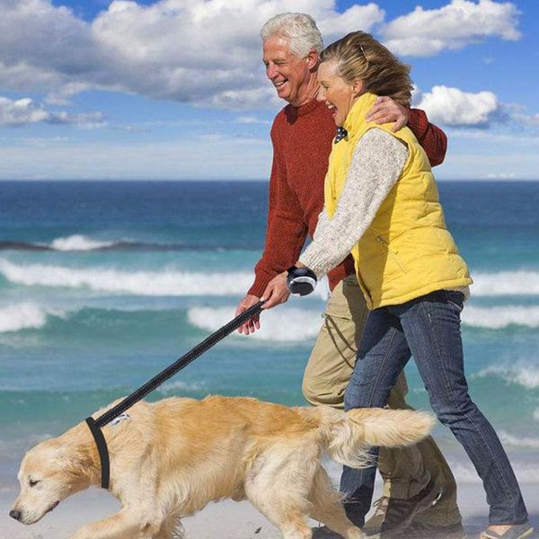 

dog collars & leashes pet retractor automatic retractable traction rope 3 meters with light walking leash