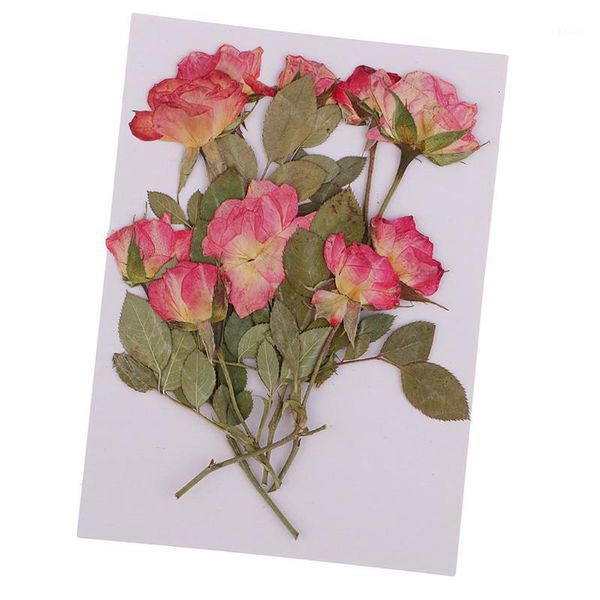 Dekorative Blumenkränze 10x gepresste getrocknete Rose DIY Handyhülle Lesezeichen Harz Schmuck für Kunstpapierherstellung Geschenkverpackungsmaterialien Basteln