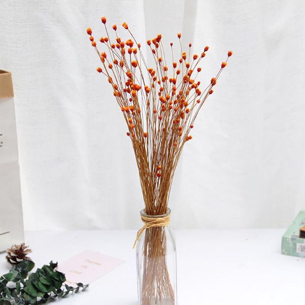 

decorative flowers & wreaths 50pcs natural dried bouquet dry real happy flower small press mini pography po backdrop decor