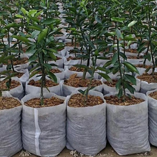 

planters & pots 100pcs different sizes biodegradable non-woven seedling eco-friendly planting bags nursery bag plant grow fabric pouch