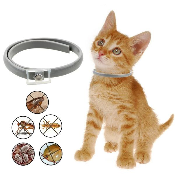 

dog collars & leashes 63/38cm anti flea ticks mosquitoes adjustable cat collar outdoor protective pet accessories necklace waterproof