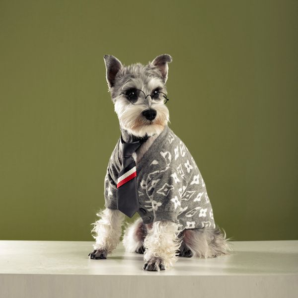 

pet cloth core spun yarn sweater tide brand pet dog cat