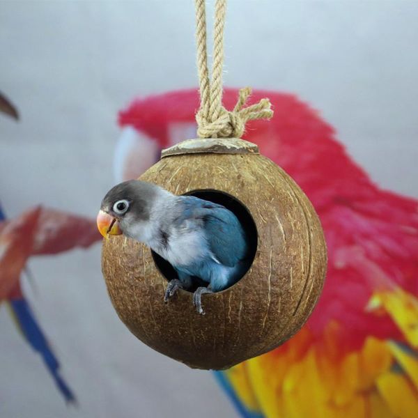 

aapet 1pc natural coconut bird nest house suspensible cage for parrot feeding station parakeet birds decorating pendant cages