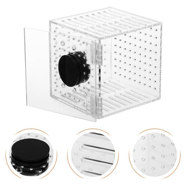 

aquariums 1pc fish isolation box acrylic hatching container tank hatchery