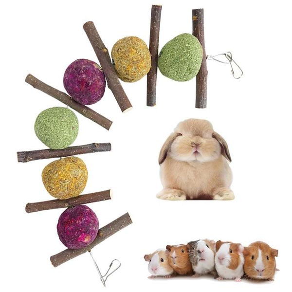 

small animal supplies 1pc chewing toy wooden hanging animals molar for guinea pigs rat chinchilla hamsters accessories