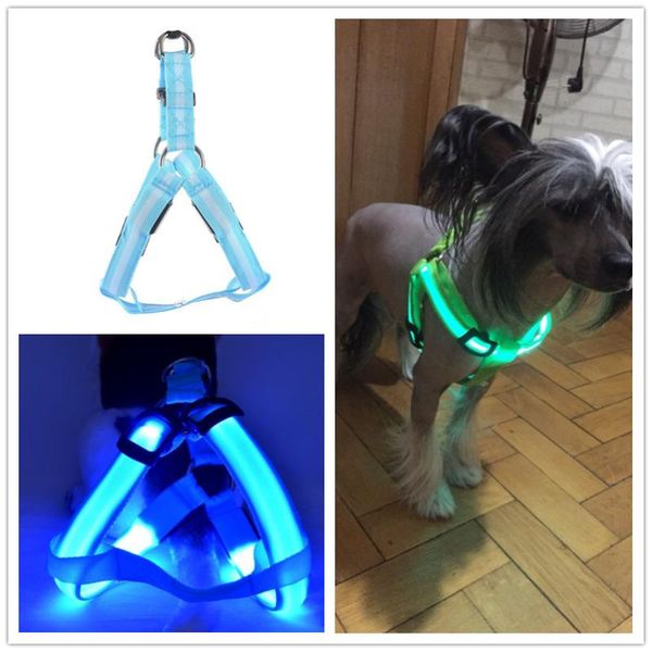 

dog collars & leashes striped pet led light harnesses belt luminous harness for medium large dogs usb rechargeable c02