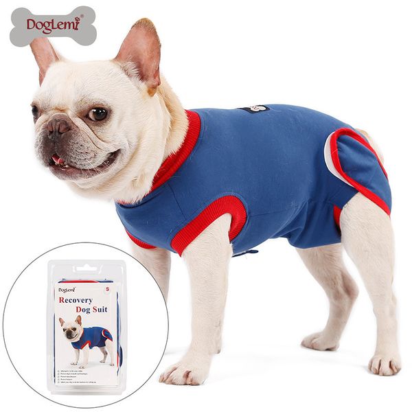 

anti licking clothing for dogs after sterilization