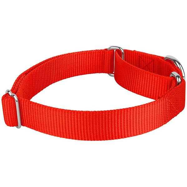 

pet product martingale heavy duty nylon dog collar collars & leashes
