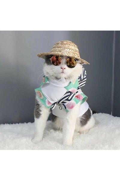 

cat costumes sun hat for cats cute pet cozy straw fedora - small size