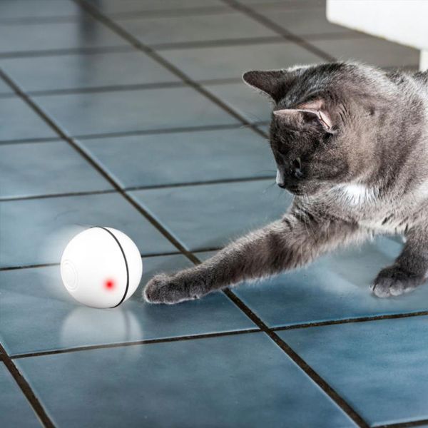 

cat toys pet toy led ball light usb charging smart automatic steering dog puppy kitty play training supplies pets product