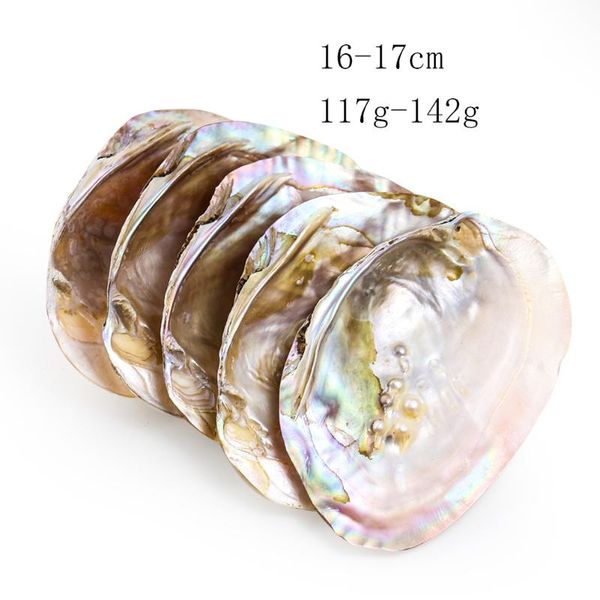 

novelty items natural pearl shell conch fish tank landscaping decoration nautical specimen po props diy jewelry storage caviar sauce dish