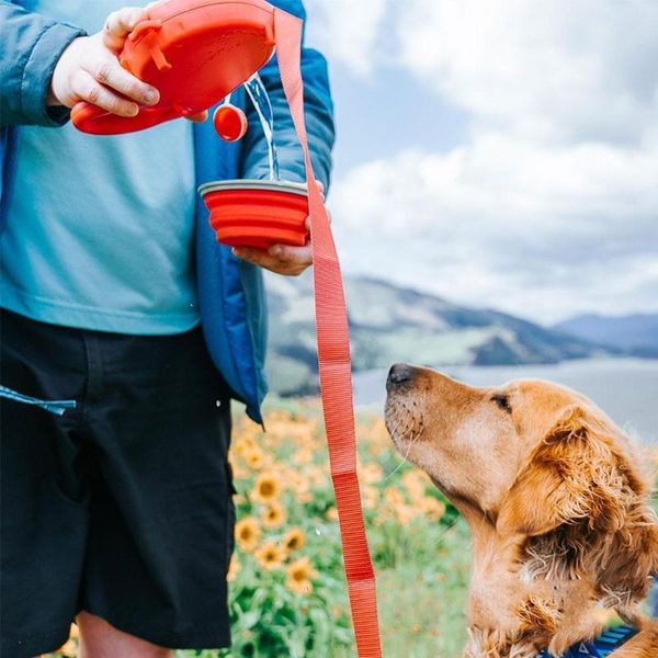 

dog collars & leashes portable pet leash collar retractable multifunctional supplies foldable dirt bottle bag container water u8h1