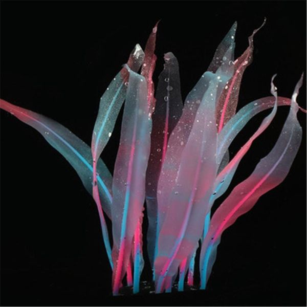 

fish tank aquarium artificial water plants underwater simulation aquatic plant glass grass landscape decoration decorations