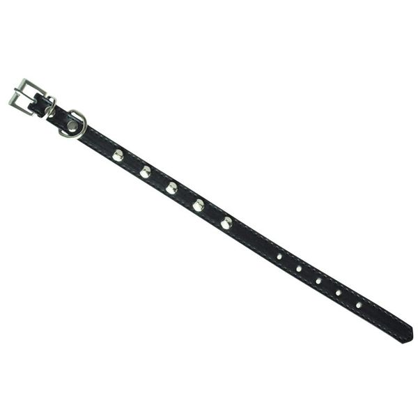 

black pu leather dog collar pet punk rivet hole adjustable xs collars & leashes