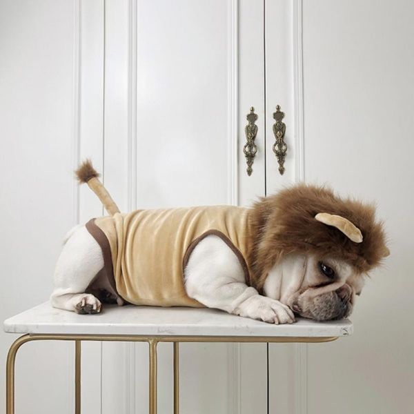 

cat costumes halloween funny dog lion cosplay costume clothes comical outfits with mane hood pet festival party outfit