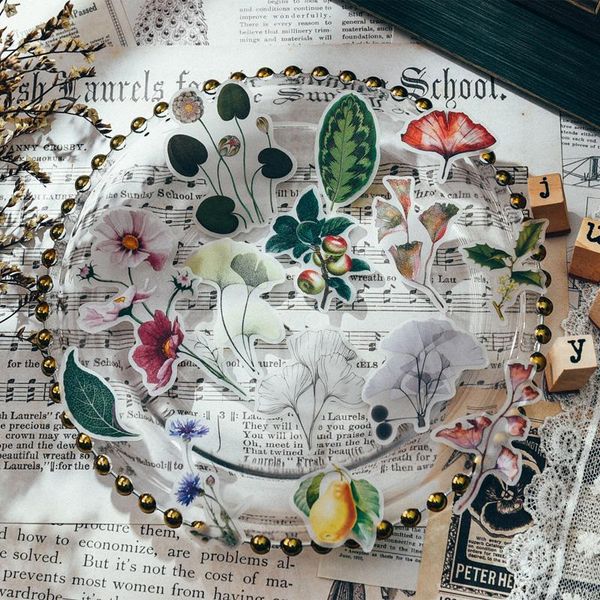 

vintage plants vellum paper stickers for scrapbooking diy projects junk journal planner card making crafts gift wrap