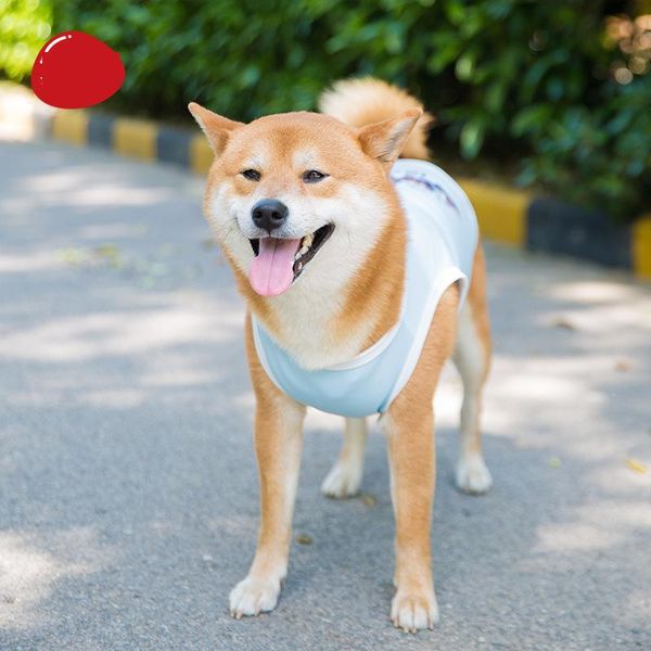

dog apparel clothing thin medium and large pet golden fur summer vest