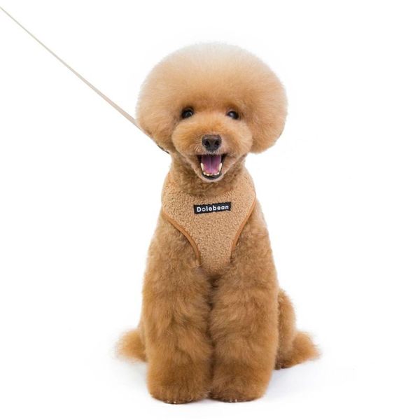 

dog collars & leashes 2021 leash pet chest strap comes with double buckle supplies