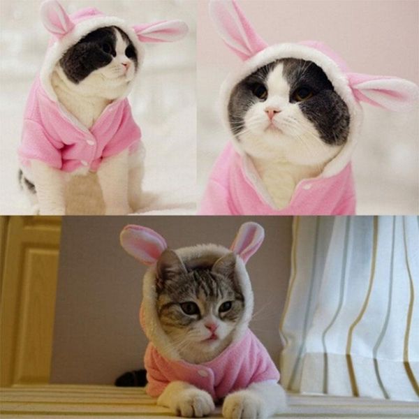 

pet cat clothes costume ears hooded coat puppy fleece warm outfit ty53 costumes