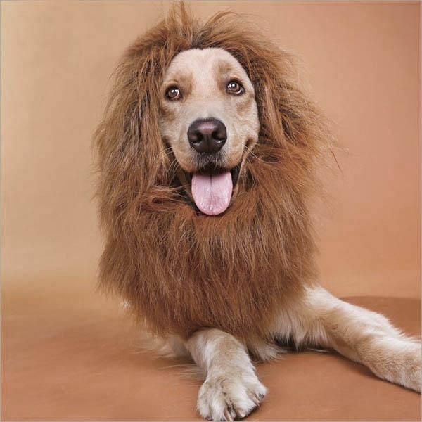 

dog apparel warm wig pet cosplay cat costume winter halloween lion mane headgear cute clothes