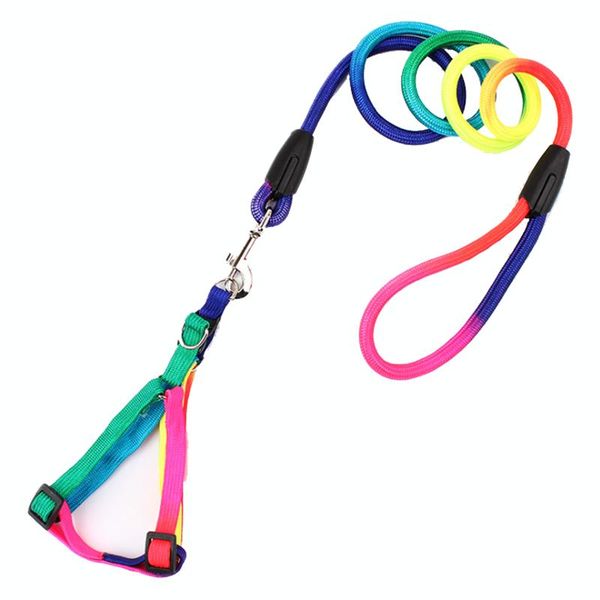 

rainbow color pet training weave nylon harness traction belt round dog leashes lead chest rope collars &