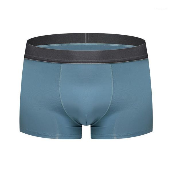 

underpants men's underwear mesh four corner shorts head and bottom pants triangle cotton, Black;white