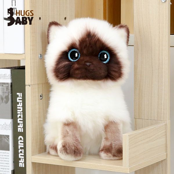 

dolls super cute kitty doll plush toy cloth siamese cat female gift